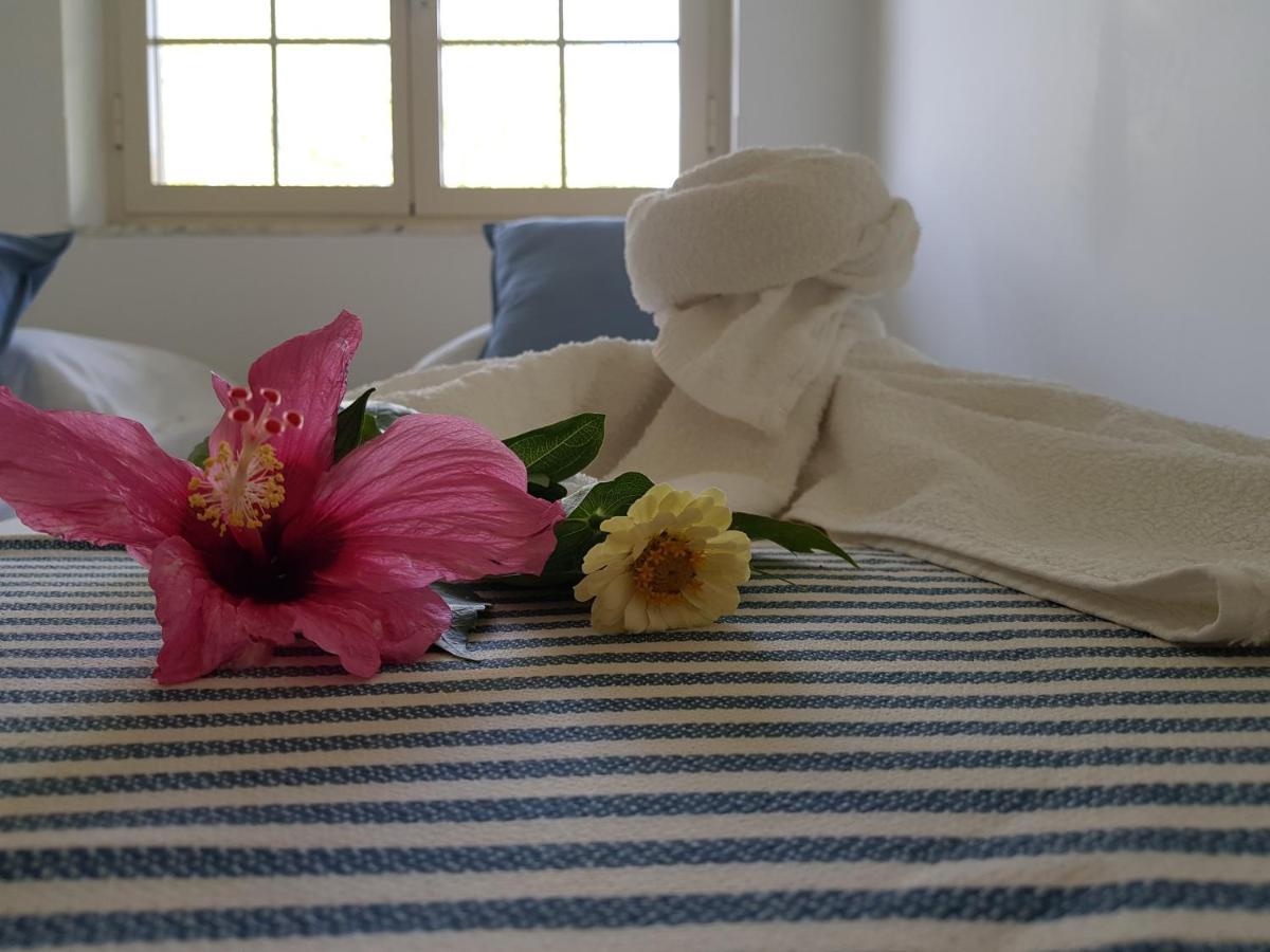 Villa Laria Tropea Ngoại thất bức ảnh